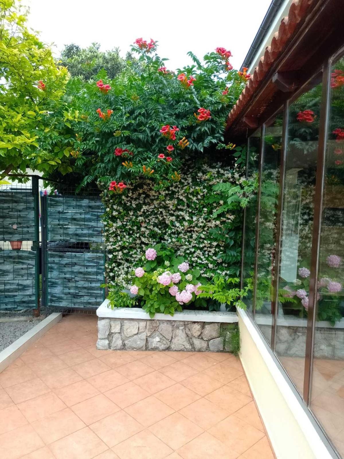 Apartment Ela, Kostrena Rijeka エクステリア 写真
